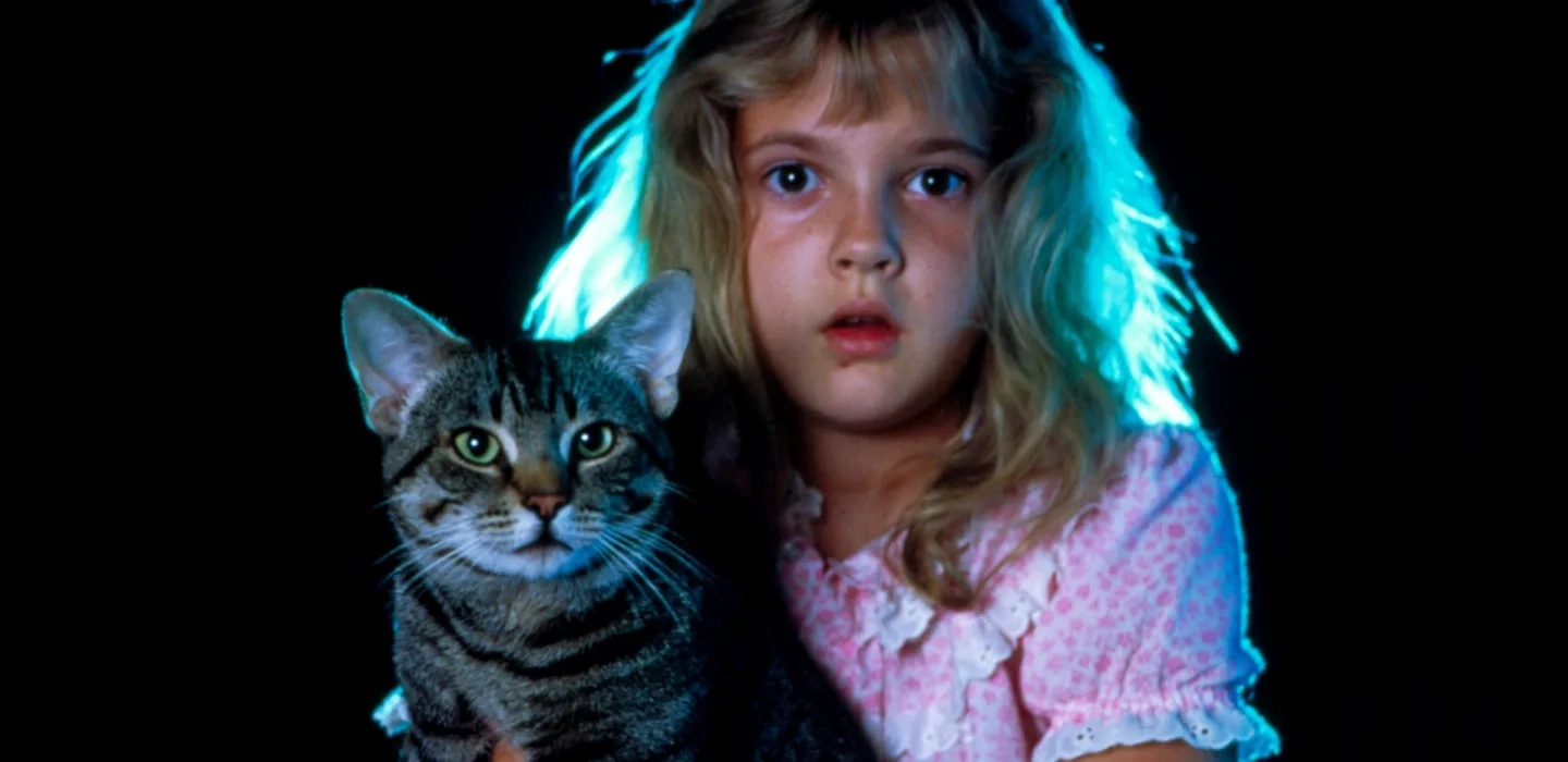 Arrière-plan Cat's Eye