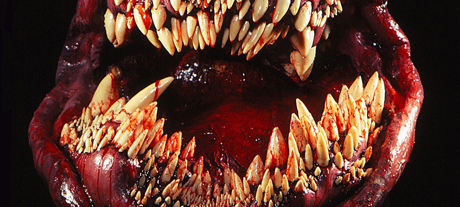 Arrière-plan The Deadly Spawn