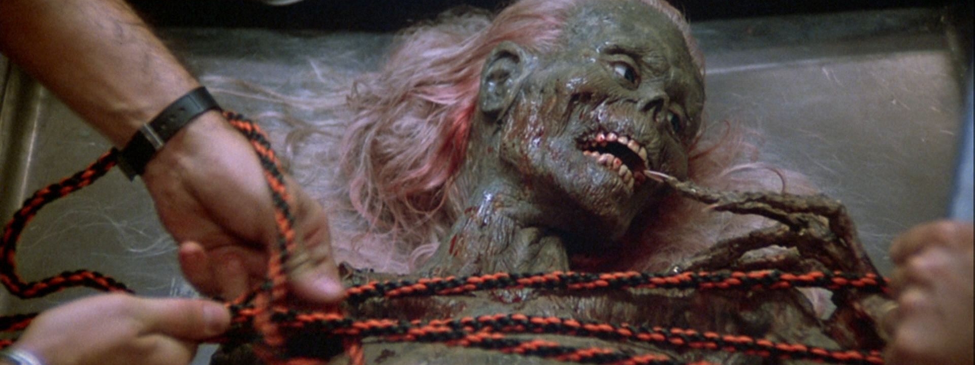 Arrière-plan The Return Of The Living Dead