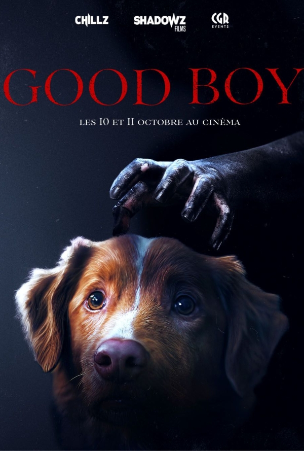 Poster Good Boy
